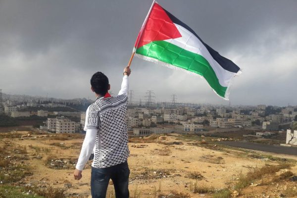 historia de Palestina, un chico palestino ondea una bandera.